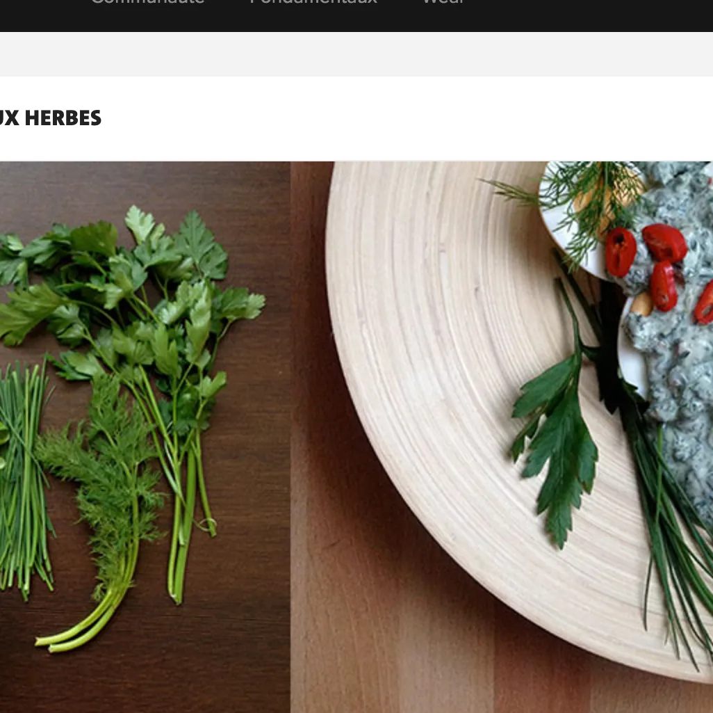 CEUFS A LA SAUCE AUX HERBES